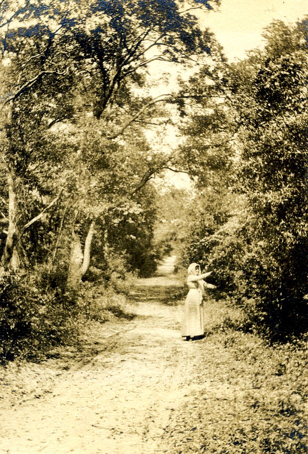 Lovers Lane 1914.jpg